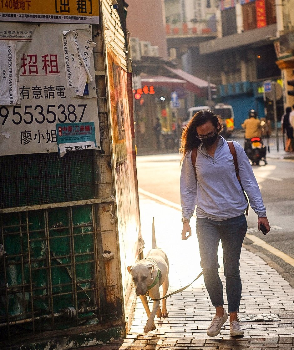 loban's tweet photo. walk the dog...🐕✨ #hkig #streetphography #walkthedog #eveningwalk #hkiger #eveningshot #hongkongnightlife #citywalk #dogtagram #furkids #backlightphotography #under_the_sign_hongkong https://t.co/oGnKHgAxmn