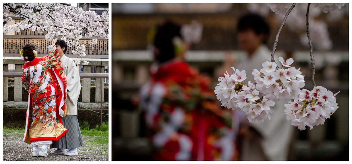 NDaisuki's tweet photo. KYOTO
#Japan #JapanFirstLook
#streetphotography
#canonphotography #kyoto https://t.co/aoJXLZwsZI