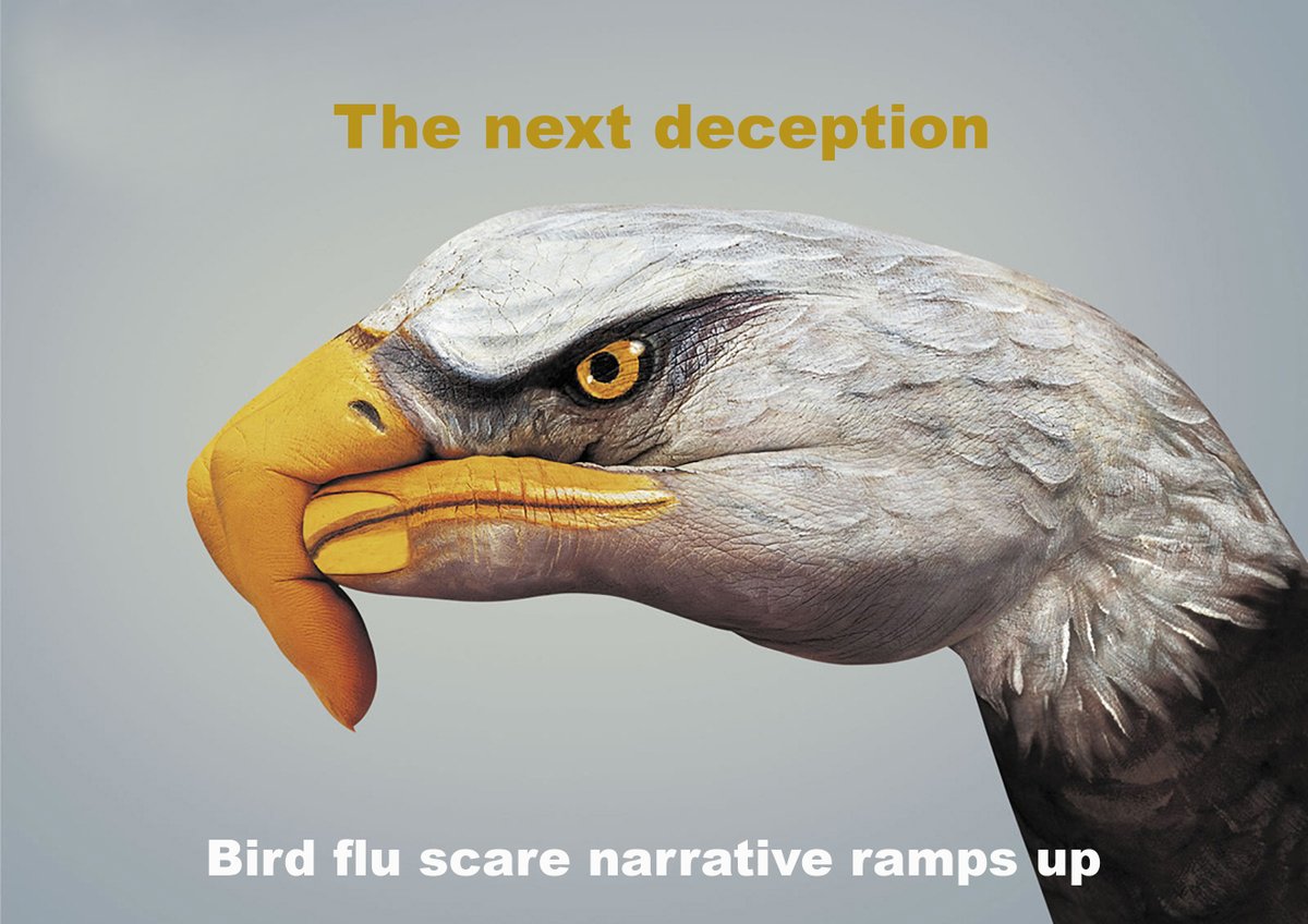 GenieLampProd's tweet photo. 🧞

https://t.co/R08WotkUue

#GenieLamp @ukcolumn #ClimateThere @SpartaJustice @VigilantFox @thecoastguy
@AndRealisation @Demo2020cracy
@AndersonAfDMdEP #VaccineDeath https://t.co/nQLDRvLJg0