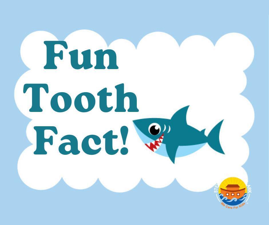 sdentalark's tweet photo. Did you know that sharks can grow and lose thousands of teeth in their lifetime? Unlike humans, sharks continuously grow and shed their teeth throughout their lives, with some species growing and losing over 50,000 teeth! While we may not be able to regrow our teeth like sha… https://t.co/yqwF9umlpp