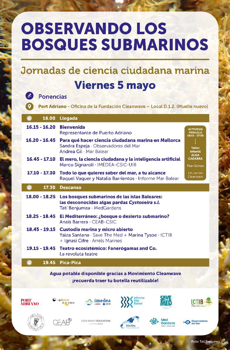 Observadores del Mar tweet media