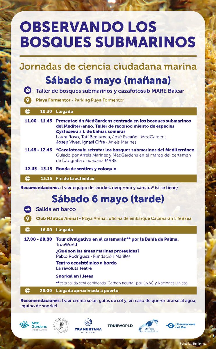 Observadores del Mar tweet media