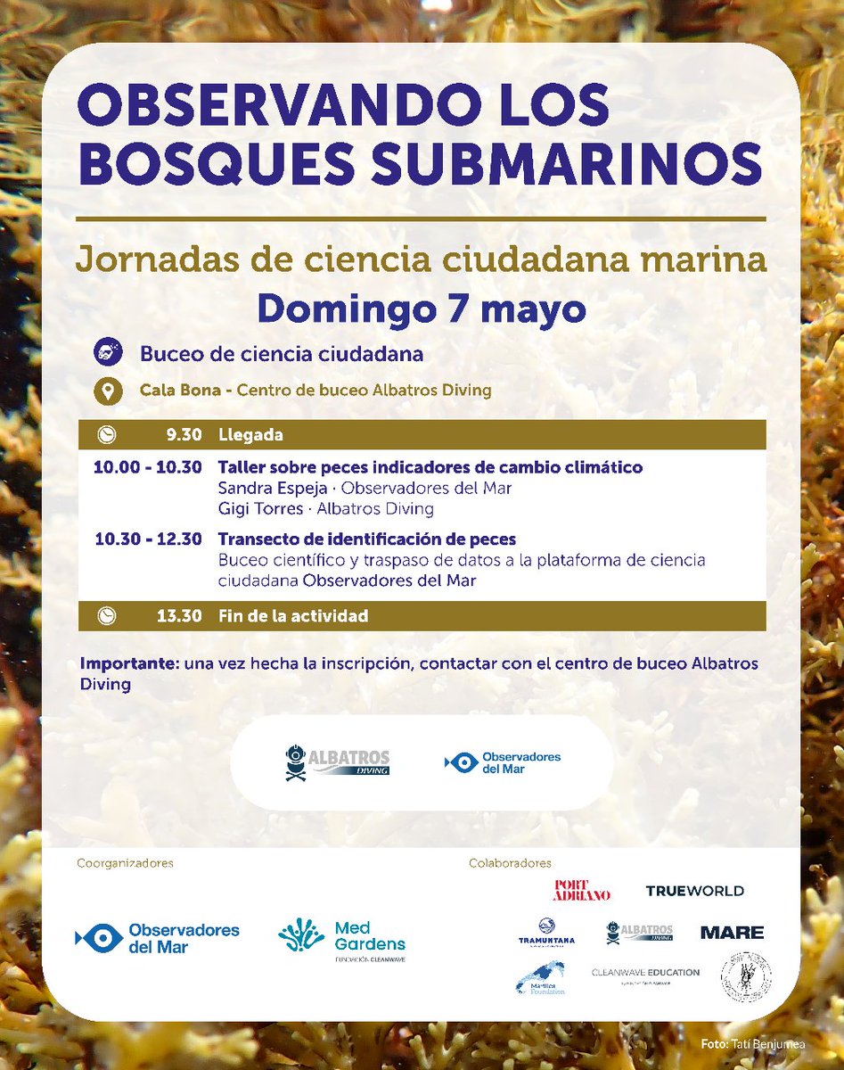 Observadores del Mar (@obsdelmar) on Twitter photo <a href="/Med_Gardens/">MedGardens</a> <a href="/Dive_Tramuntana/">Tramuntana Diving</a> <a href="/MarillesFund/">Marilles Foundation</a> <a href="/IMEDEA_UIB_CSIC/">IMEDEA (UIB-CSIC)</a> <a href="/ceabcsic/">CEAB-CSIC</a> <a href="/SaveTheMed_/">SaveTheMed</a> @IniciativaCTIB <a href="/portadriano1/">Port Adriano</a> <a href="/ArrelsMarines/">Arrels Marines</a> <a href="/TrueWorldOrg/">TRUEWORLD</a> ¡Nos vemos en mayo!
Podrás consultar el programa detallado en la web de Observadores del Mar y de MedGardens. Si tienes cualquier duda, puedes contactar a info@observadoresdelmar.es <a href="/Med_Gardens/">MedGardens</a> <a href="/Dive_Tramuntana/">Tramuntana Diving</a> <a href="/MarillesFund/">Marilles Foundation</a> <a href="/IMEDEA_UIB_CSIC/">IMEDEA (UIB-CSIC)</a> <a href="/ceabcsic/">CEAB-CSIC</a> <a href="/SaveTheMed_/">SaveTheMed</a> @IniciativaCTIB <a href="/portadriano1/">Port Adriano</a> <a href="/ArrelsMarines/">Arrels Marines</a> <a href="/TrueWorldOrg/">TRUEWORLD</a> ¡Nos vemos en mayo!
Podrás consultar el programa detallado en la web de Observadores del Mar y de MedGardens. Si tienes cualquier duda, puedes contactar a info@observadoresdelmar.es