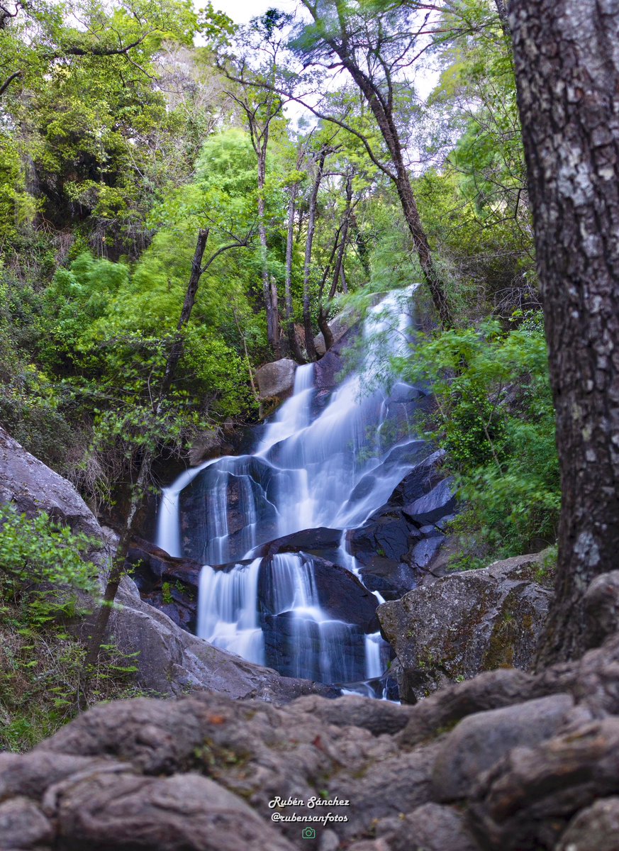 “ Rincón Mágico “ 📍Las Nogaledas ( Valle del Jerte ) #lasnogaledas #nogaledas #navaconcejo #plasencia #extremadura #valledeljerte #jerte #primavera #cascadas #agua #largaexposicion #longexposure #landscape #turismo #rutas #paisajes #nature #nortedeextremadura @turnortex