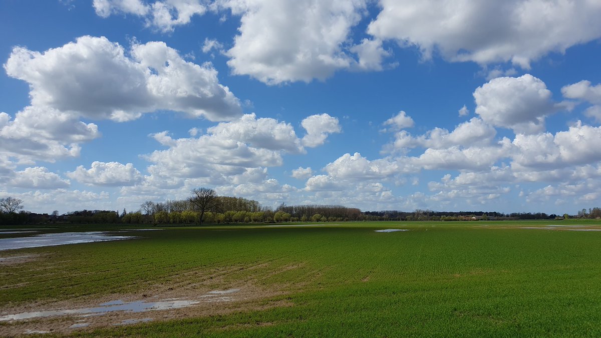 j_winne's tweet photo. Zemst 15.40 u. #vrtweer https://t.co/TiDsA8Kivo