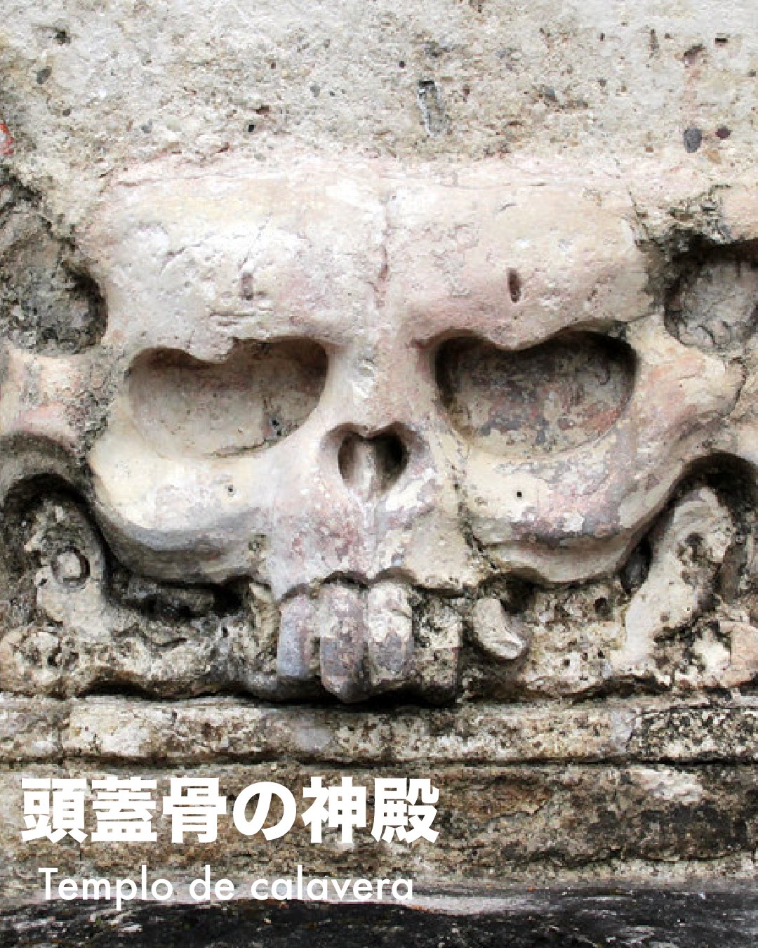観照 大阪・国立国際美術館 特別展「古代メキシコ」 -6 マヤ (3