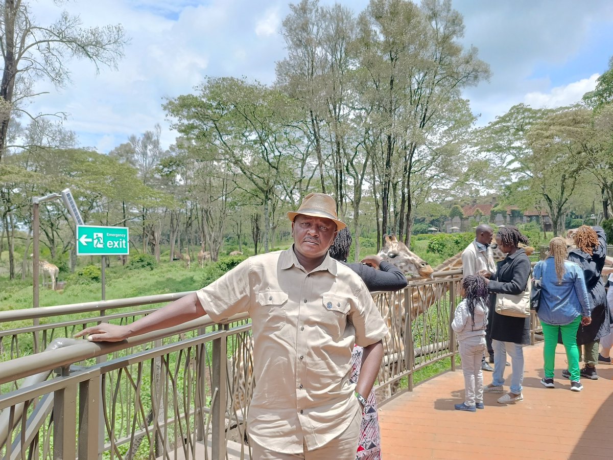 NyamuJim's tweet photo. Its give me a nature touch and smells anytime I visit @GiraffeCenter , the only place where you come across to a Giraffe . We are now 4O Years can't wait to see this soon . #Giraffe #conservation #TowardsaNewConservationModel @Save_Giraffe https://t.co/XyWGRdhI2B