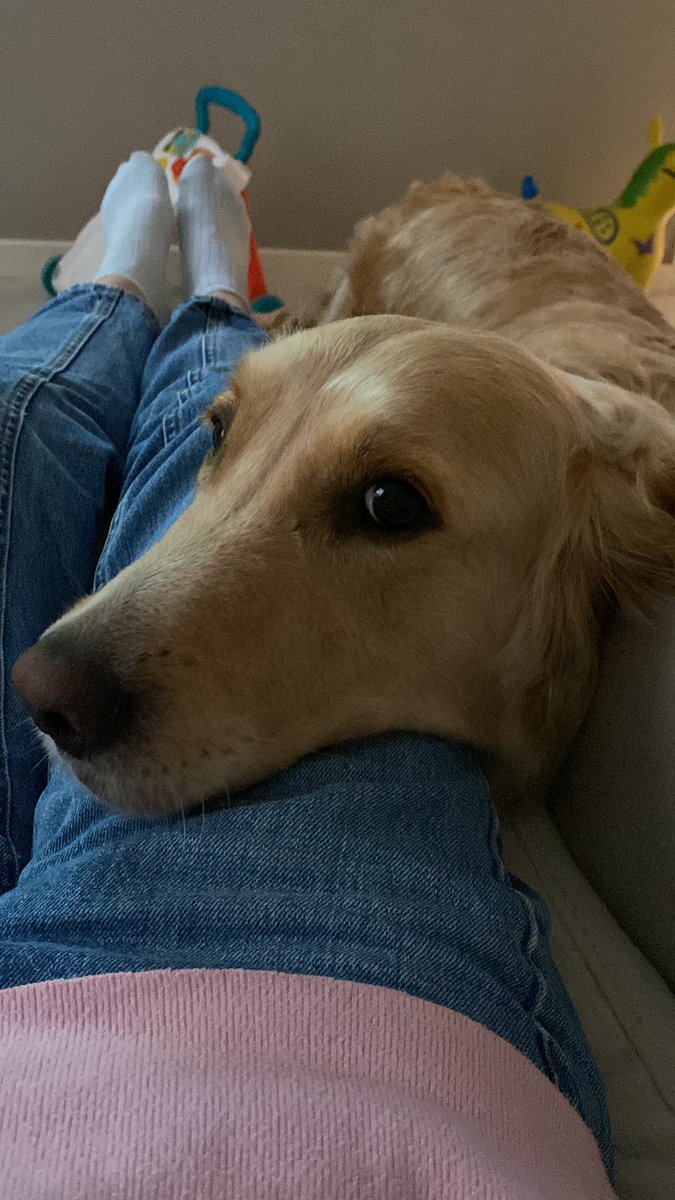 iloismi's tweet photo. She missed me #doddy https://t.co/CatMt1ZHZq