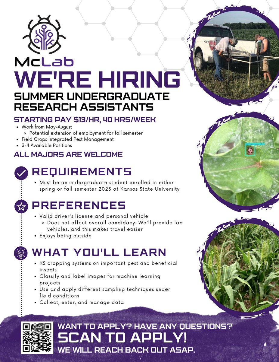 KStateEntom's tweet photo. 🌅Looking for a #summer job?
🌾McLab is ISO 3-4 Summer #Undergraduate #Research Assistants focusing on Field Crop Integrated Pest Management!
💸 Starting Pay: $13/hr, 40 hrs/week
💜ALL MAJORS WELCOME!
Apply⏩ https://t.co/IsfjyBJqPR https://t.co/kLARRmRsK3