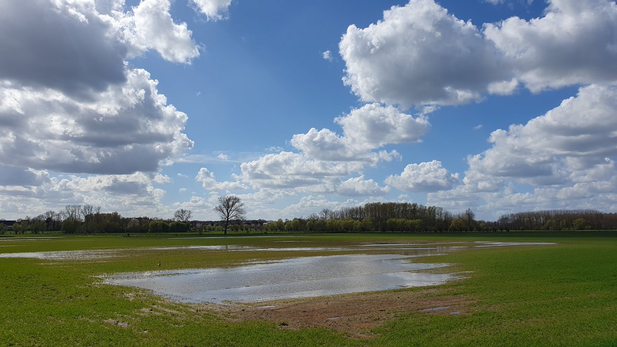 j_winne's tweet photo. Zemst 15.40 u. #vrtweer https://t.co/FfWeVI7VzX