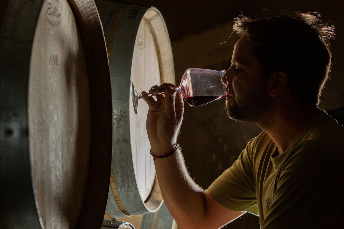 Las_Balsas's tweet photo. Celebramos el día Internacional del Malbec junto a German Masera, enólogo y dueño de la bodega Escala Humana Wines. La propuesta incluye una charla y degustación a cargo de German y un menú de 5 momentos maridados, diseñado por nuestro Chef Duvan.
 
https://t.co/JiZyIlUuPz https://t.co/mHQ9LclqXd