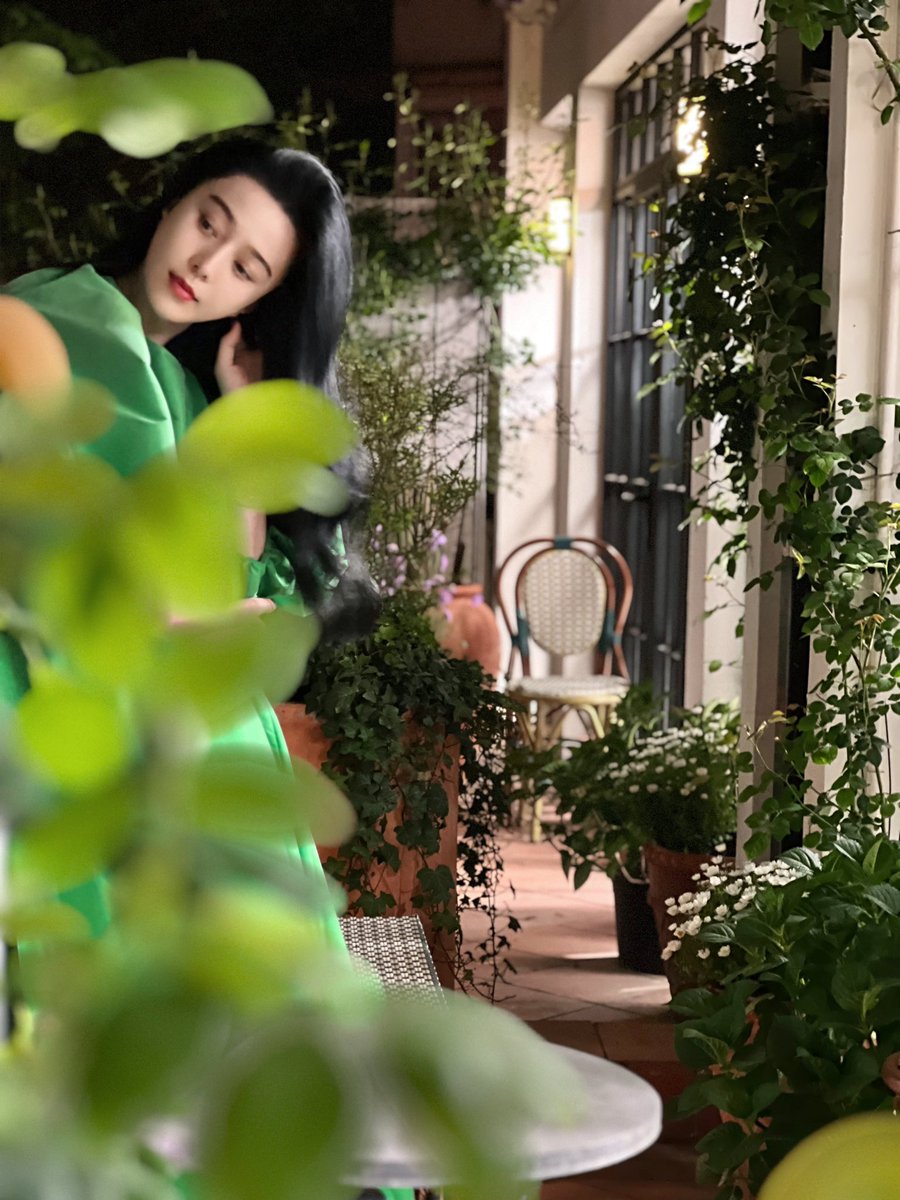 Fan Bingbing 范冰冰 tweet media