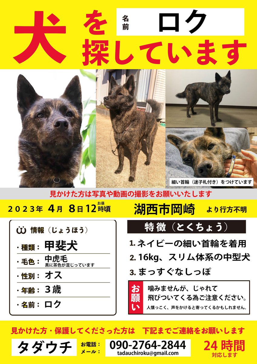 roku_maigo's tweet photo. 【迷子の甲斐犬を探しています】
2023年4月8日静岡県湖西市より行方不明になりました。
最新目撃情報は4/10 19:15 二川駅周辺
細い青の首輪は遠目では見えないかと思います。
黒い中型犬がひとりで歩いている所を見かけましたら、24時間いつでもお電話ください。
野良犬、野犬、捨て犬ではありません。 https://t.co/9imxEApVLp
