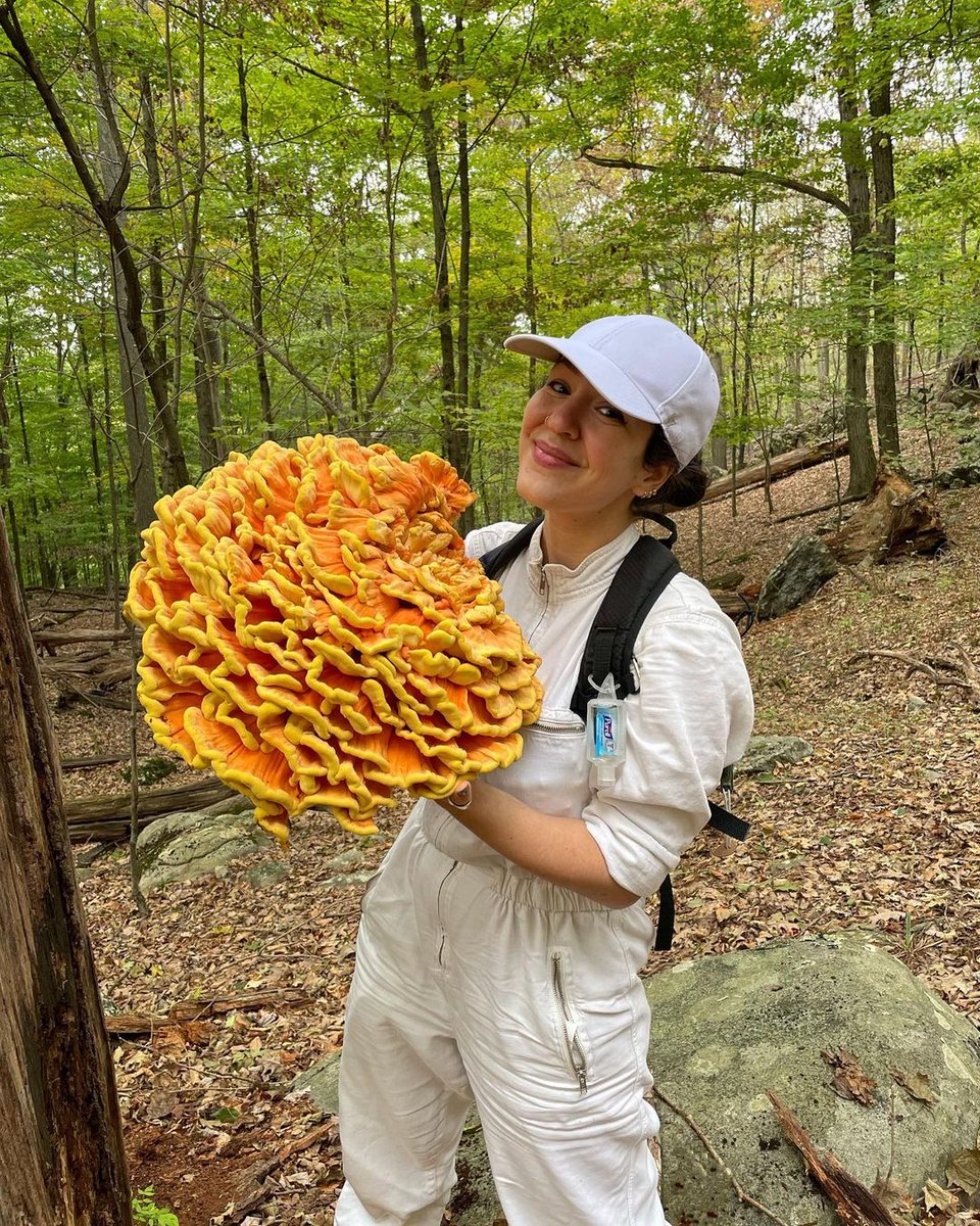 MushroomHClub's tweet photo. Today I am very happy https://t.co/0aoe92ZF9S