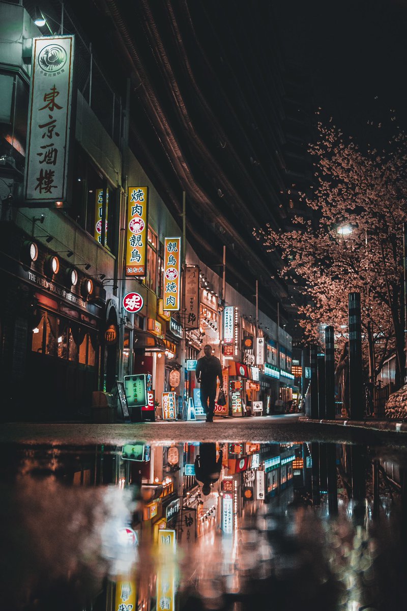 nonapozzz's tweet photo. 桜とネオン🌸最高の組合せ
#streetphotography https://t.co/QzU91QQADK