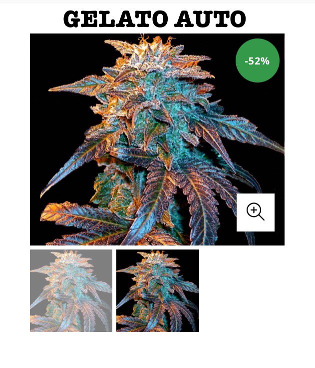 Lineagegenetics's tweet photo. MASSIVE savings on all our Automatic strains. 4 days Only.
#420community #420friendly #420gamers #420Life #Automaticseeds #Automaticseeds #CannabisCommunity #cannabislife #cannabisnews #homegrownweed #legalizecannabis #qualityseeds #WeedLife #thc https://t.co/uUv7n8mdgZ