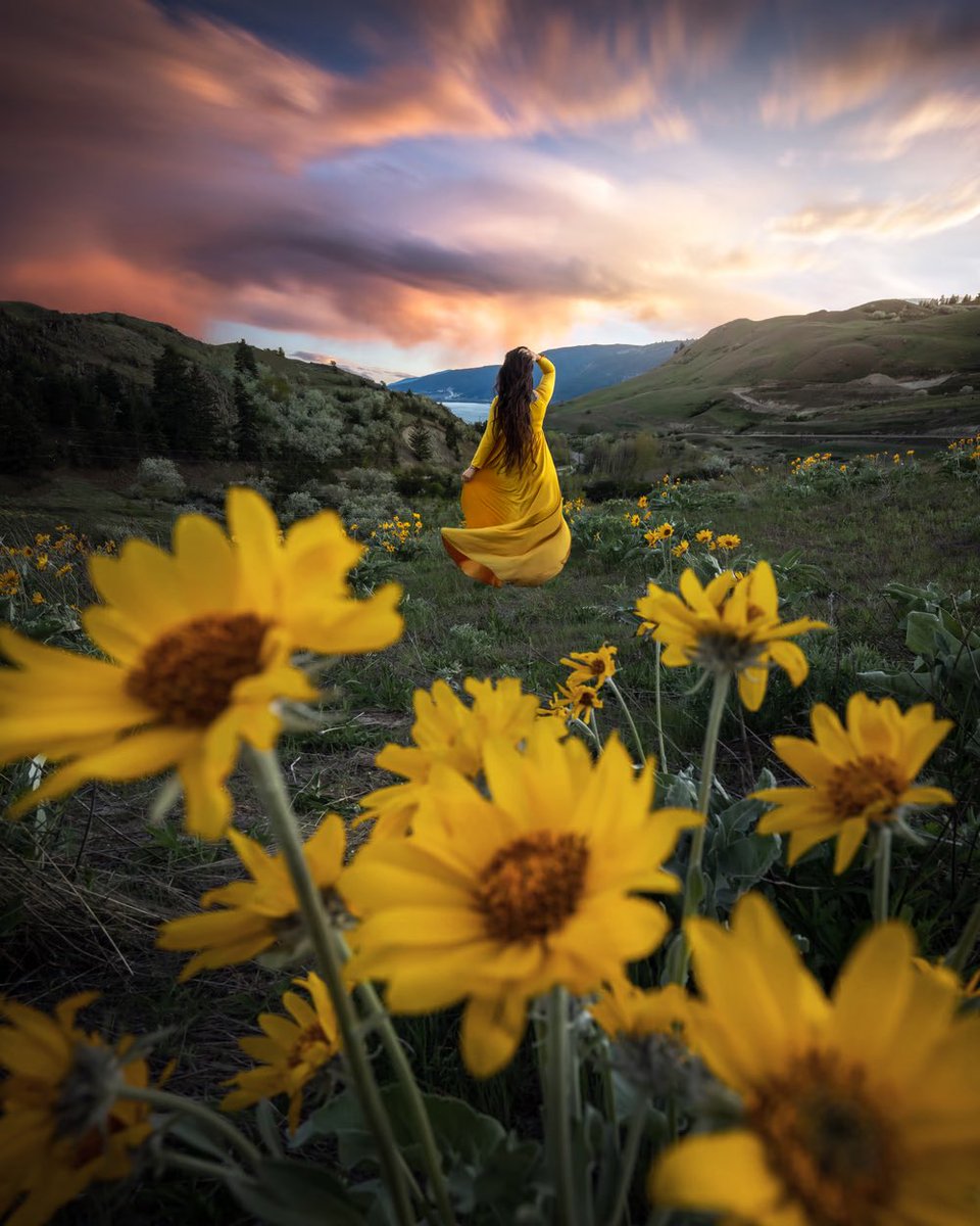 GM 🚀

KEKULI by <a href="/sarahlyndsay_/">SarahLyndsay</a> 

Collected one year ago

I love how the out of focus yellow sunflowers in the foreground draws your eye directly to everyone’s favorite yellow dress! 

You cannot think of Sarah, without thinking of her yellow dress self portraits. Branding 🔥🔥🔥