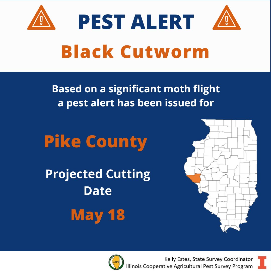 ILPestSurvey's tweet photo. #PestAlert  First black cutworm moths of the season coming in heavy in western Illinois this past weekend. Significant #blackcutworm flight
Pike County
Projected potential cutting date May 18 https://t.co/kRJxqENXaZ
