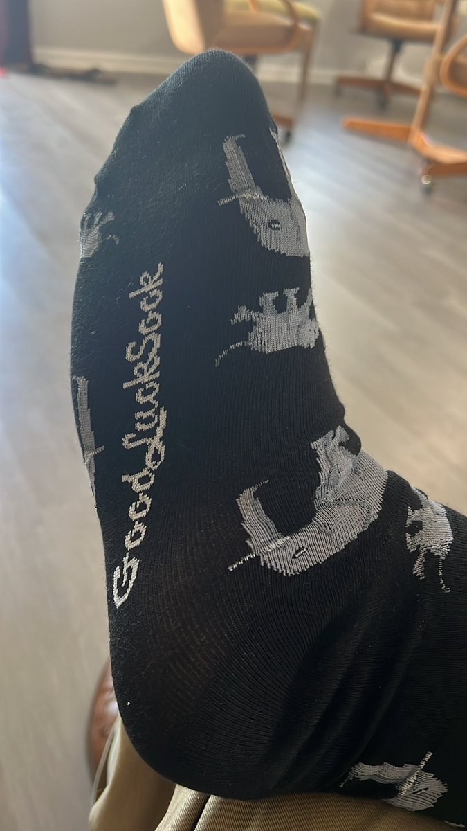 ElephantCommute's tweet photo. Day 2 of CO3: important update, presentation day, so it’s time for the good luck socks! https://t.co/HTWGnQoQeg