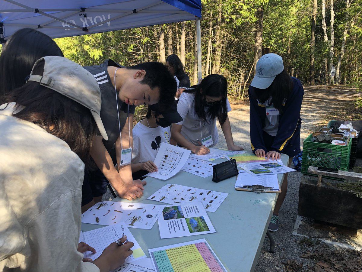 YRDSBGetOut tweet media