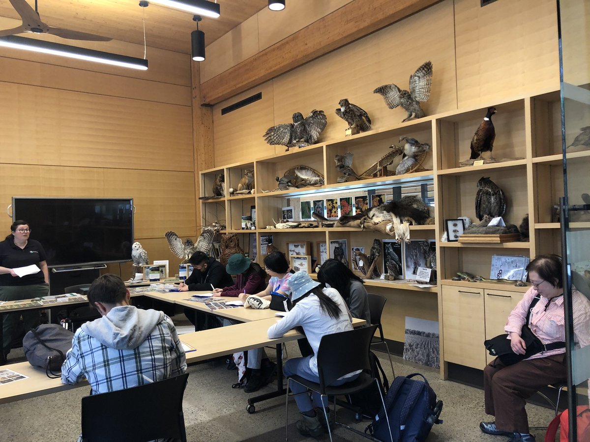 YRDSBGetOut tweet media