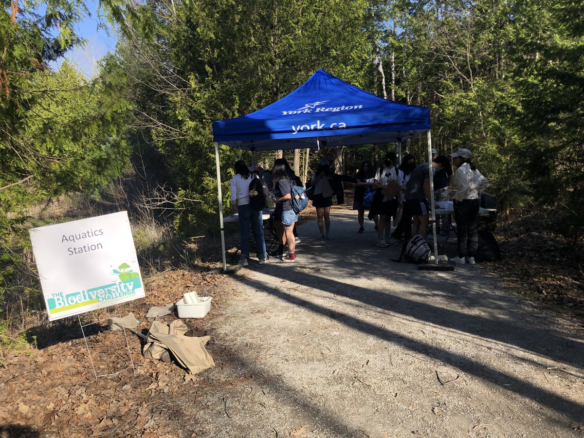 YRDSBGetOut tweet media