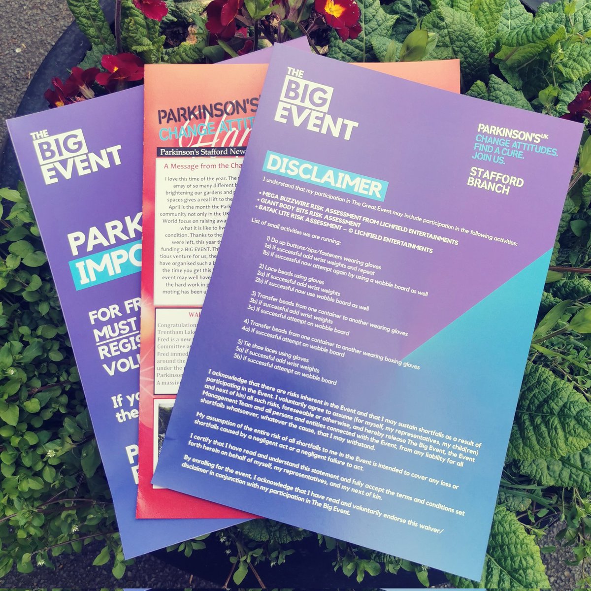 Panda Press - Stone tweet media