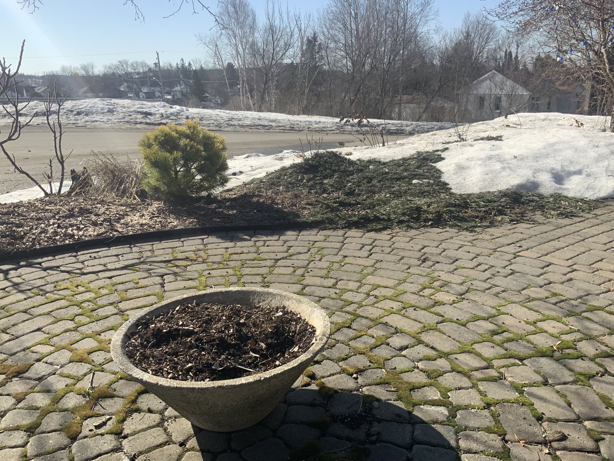 garth_wunsch's tweet photo. Two days ago the my breakfast patio was snowmageddon! This morning glorious sun, warmth, birds singing, coffee… God is good. I am renewed! https://t.co/HvFqTthHAd