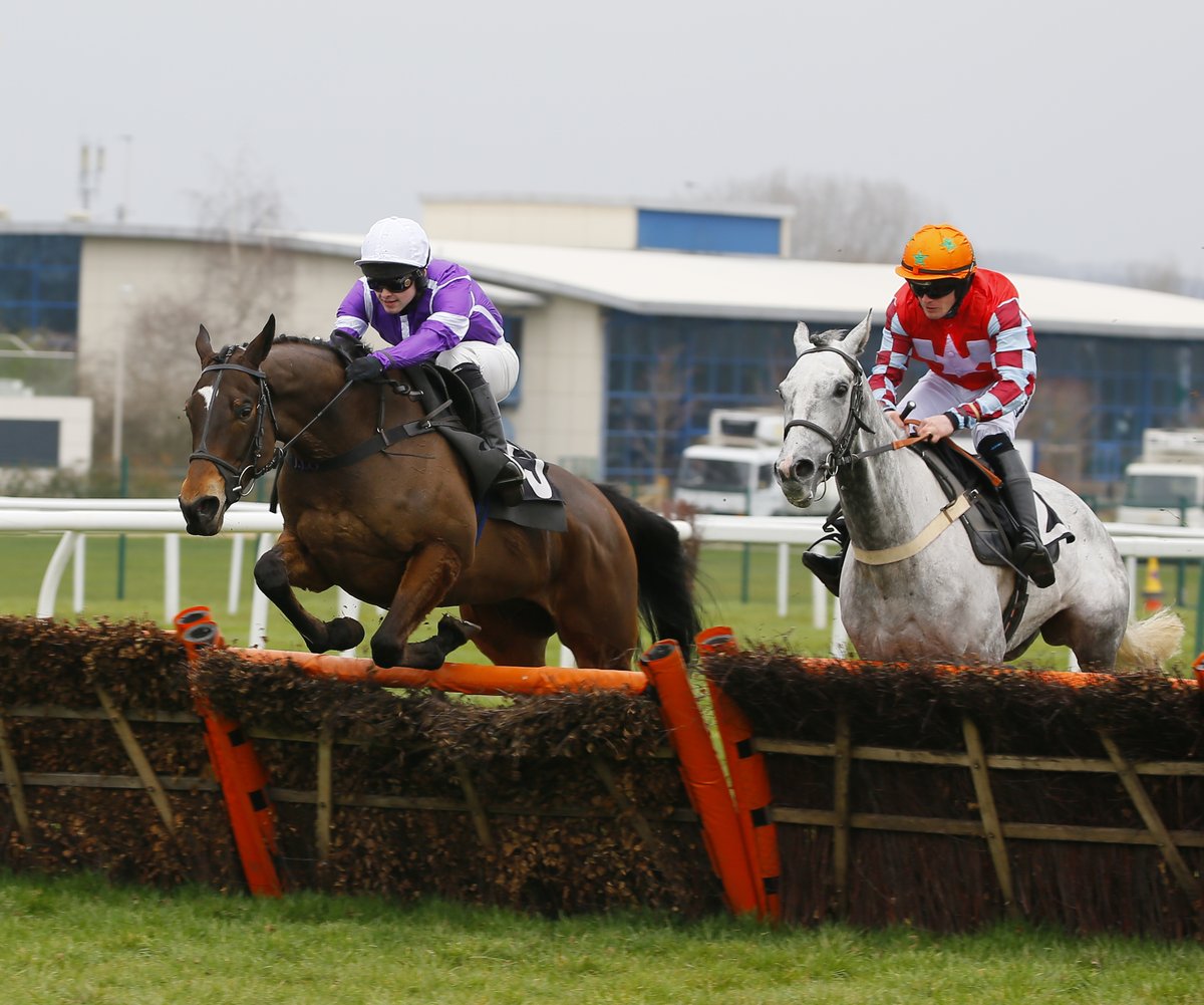 My Racing Tips on Twitter "🐎 GRAND NATIONAL TIP 🐎 "He stays all day