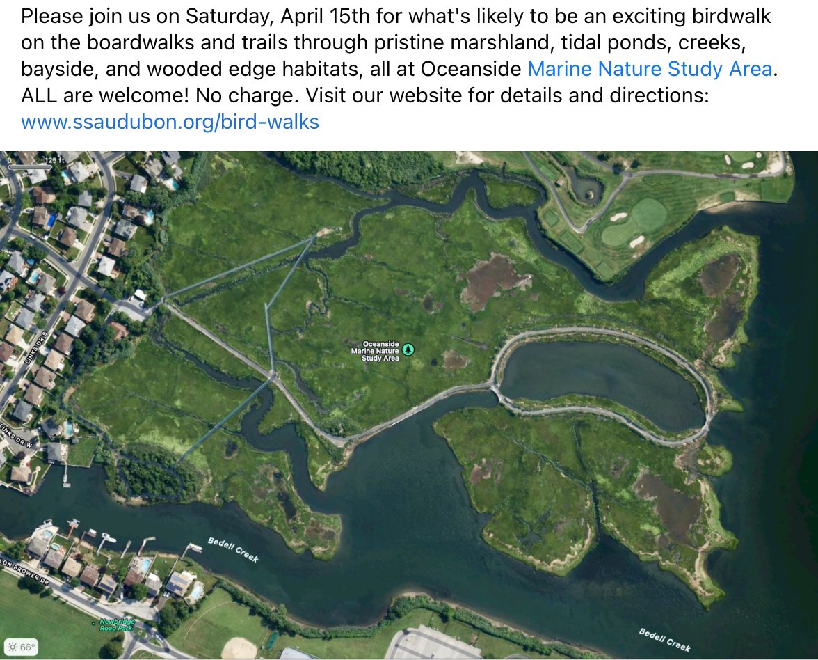 AudubonSS's tweet photo. Please join us our birdwalk on the boardwalks, marshland trails, tidal ponds and wooded edges of Oceanside Marine Nature Study Area on Saturday, April 15th with @BillBelford2. https://t.co/AeC0kDSYI8
