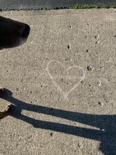 KindnessChamps's tweet photo. Simple #actions can make a HUGE difference💞
During a morning walk with Bella, our almost 12 yo rescue #dog, I was #delighted to walk from driveway to driveway and see these #treasures of #positivity and #love❤️ #betheoneto #ubuntu #thereisgood🐶🌟 https://t.co/FkVRZbJKwJ