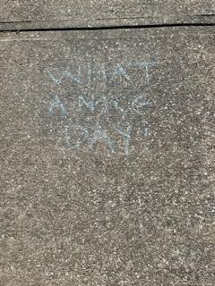 KindnessChamps's tweet photo. Simple #actions can make a HUGE difference💞
During a morning walk with Bella, our almost 12 yo rescue #dog, I was #delighted to walk from driveway to driveway and see these #treasures of #positivity and #love❤️ #betheoneto #ubuntu #thereisgood🐶🌟 https://t.co/FkVRZbJKwJ