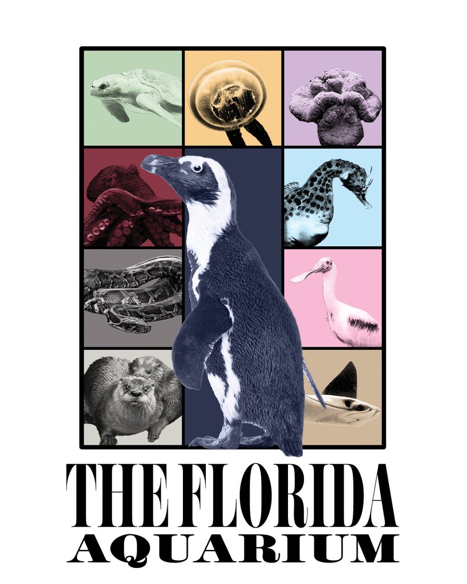 floridaaquarium's tweet photo. I don’t know how it gets better than this ✨ We’re in our Eras era

Are you going to one of the @taylorswift13  #TStheErasTour  nights in Tampa? https://t.co/lHXTbAsUrS