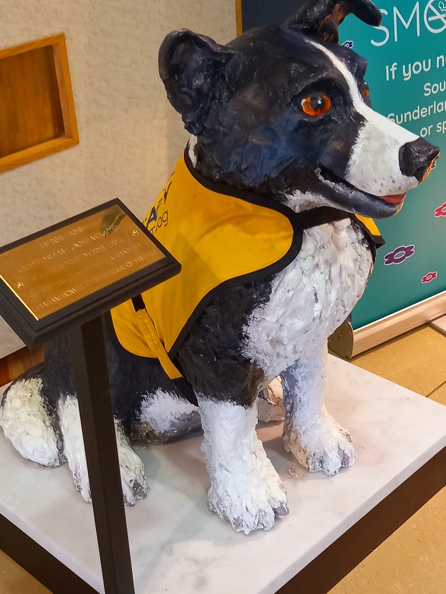 PAT Dog Tip will forever remain part of @STSFTrust as world-renowned animator, artist and educator, @sheilagraber created a statue in his honour.
💛🐾
Read the full story here:
ow.ly/177o50NHUNB

#PetsAsTherapy #Charity #Volunteering #HumanAnimalBond #SouthTyneside