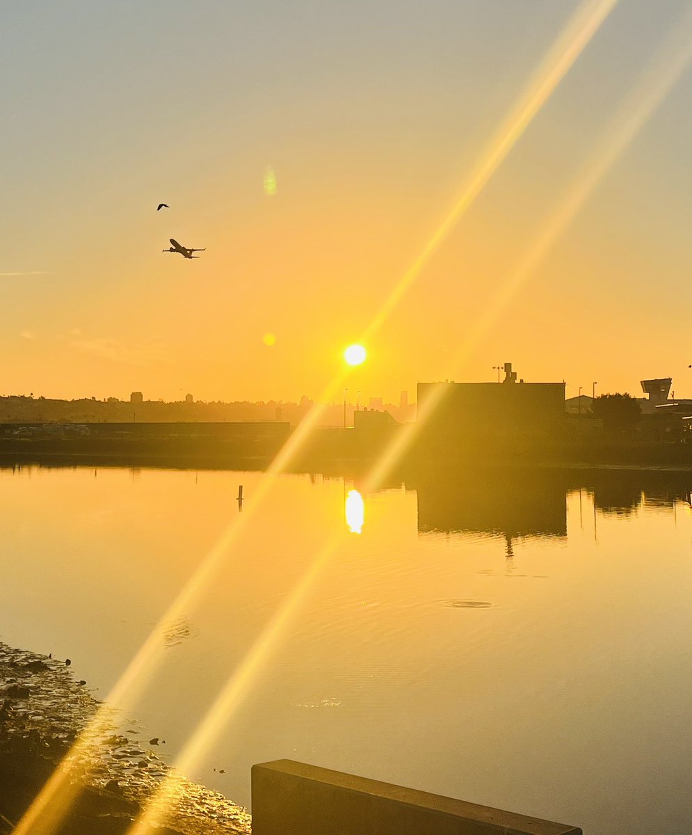 busyshoots's tweet photo. Good morning California 🌄
🌞
and good day to everyone else 🙏, I wish everyone today sunshine and warmth in their hearts 💛
#Dawniscoming #sunshine🌞 #sunrisephotography #sunrisecolors #californialove #californiasun #SanDiego #HaveABrightDay https://t.co/bcTACBipnD