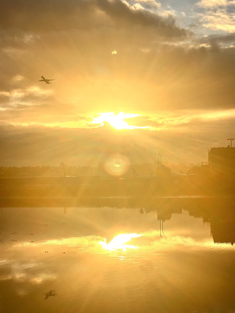 busyshoots's tweet photo. Good morning California 🌄
🌞
and good day to everyone else 🙏, I wish everyone today sunshine and warmth in their hearts 💛
#Dawniscoming #sunshine🌞 #sunrisephotography #sunrisecolors #californialove #californiasun #SanDiego #HaveABrightDay https://t.co/bcTACBipnD