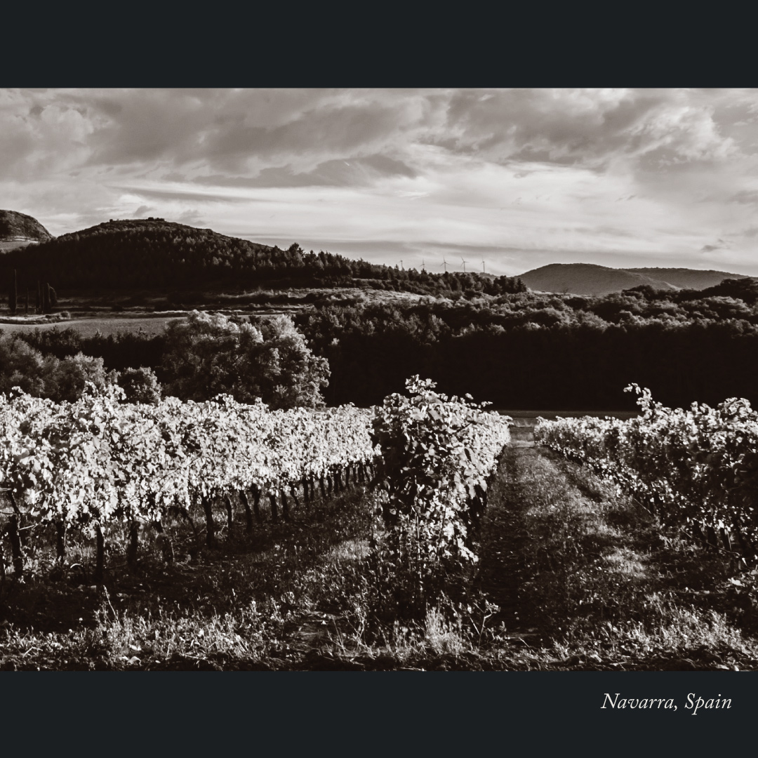 firstleafwine's tweet photo. Tiabras honors the passage of time. No matter how many new things come, traditions are always remembered.
Experience the exquisite taste of our Fine Wine Collection, where every bottle tells a unique story. #FirstleafWine #FineWineCollection #Tiabras https://t.co/S7aR4iUert https://t.co/LxNfXPo6IT