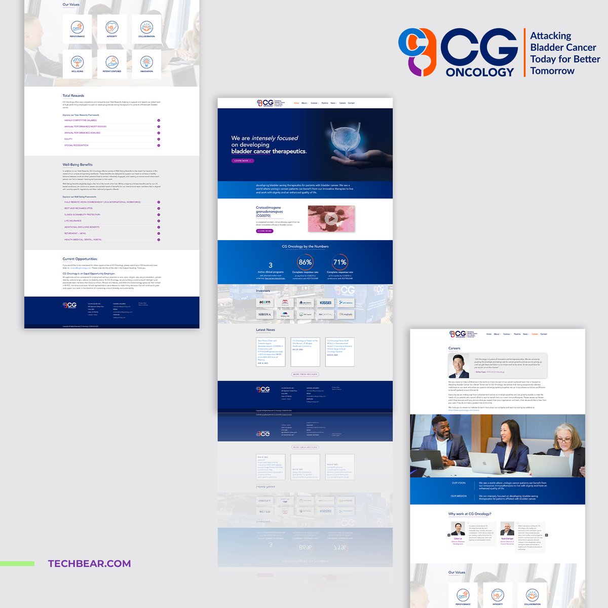 TeamTechBear's tweet photo. Check out our latest project! ➡ Step into the future of medical innovation with CG Oncology's sleek new website design crafted by TechBear! 🌐 💻 📲

#techbearteam #cgoncology #websitedevelopment #websitedesign #websitedesigncompany https://t.co/fOqaSi1GiR