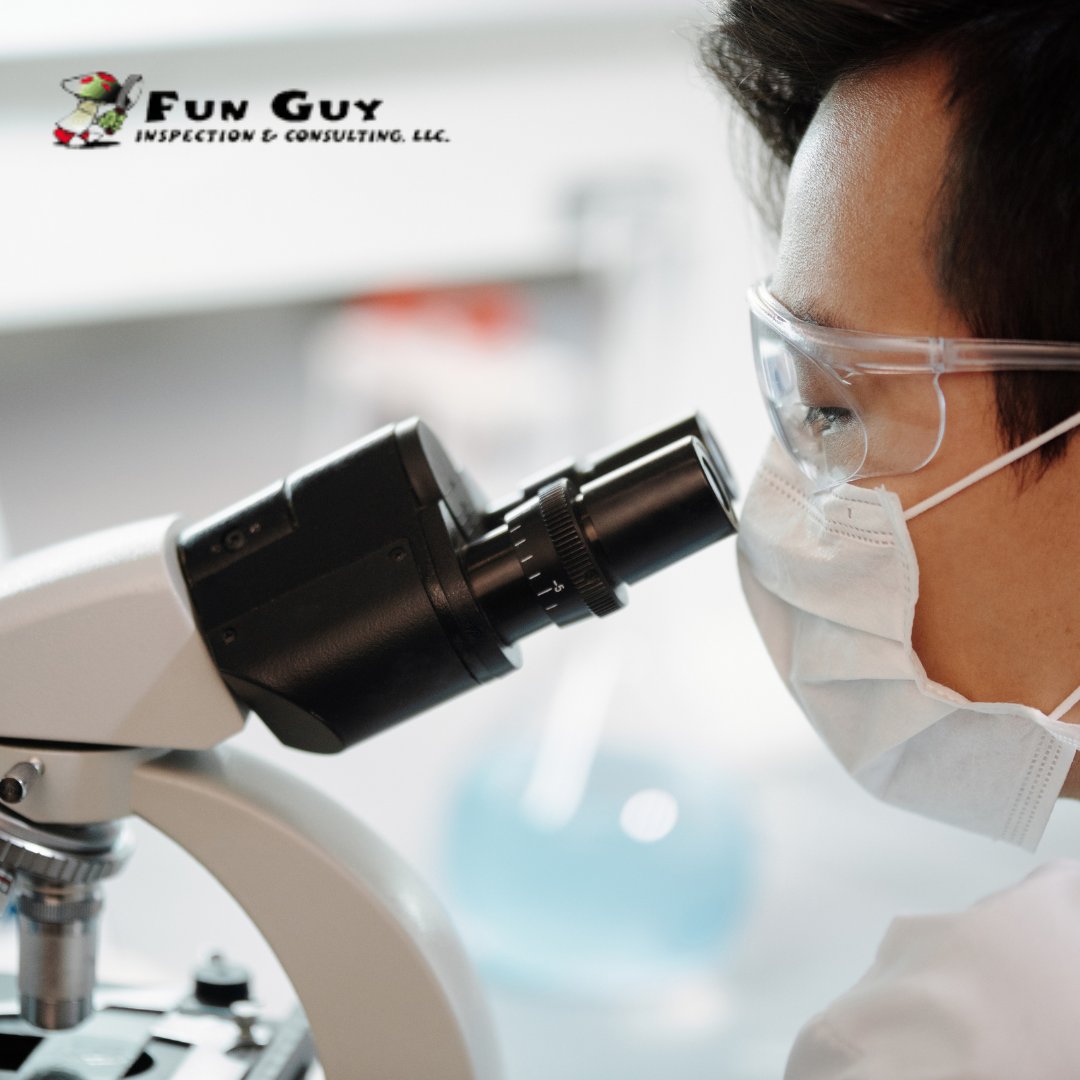 Inspect4molD's tweet photo. Uncover the truth with Bacteria Confirmation. The Coliform Test is a first line of defense in detecting bacteria.  Learn more here https://t.co/BAGxtYvB7Z

#FunGuyInspections #LosAngelesInspection #moldservices #MoldExpert #MoldTrivia https://t.co/YSS8F6mc5I