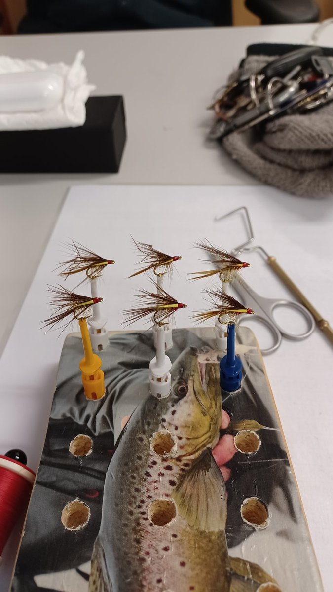 Robster22 tweet media