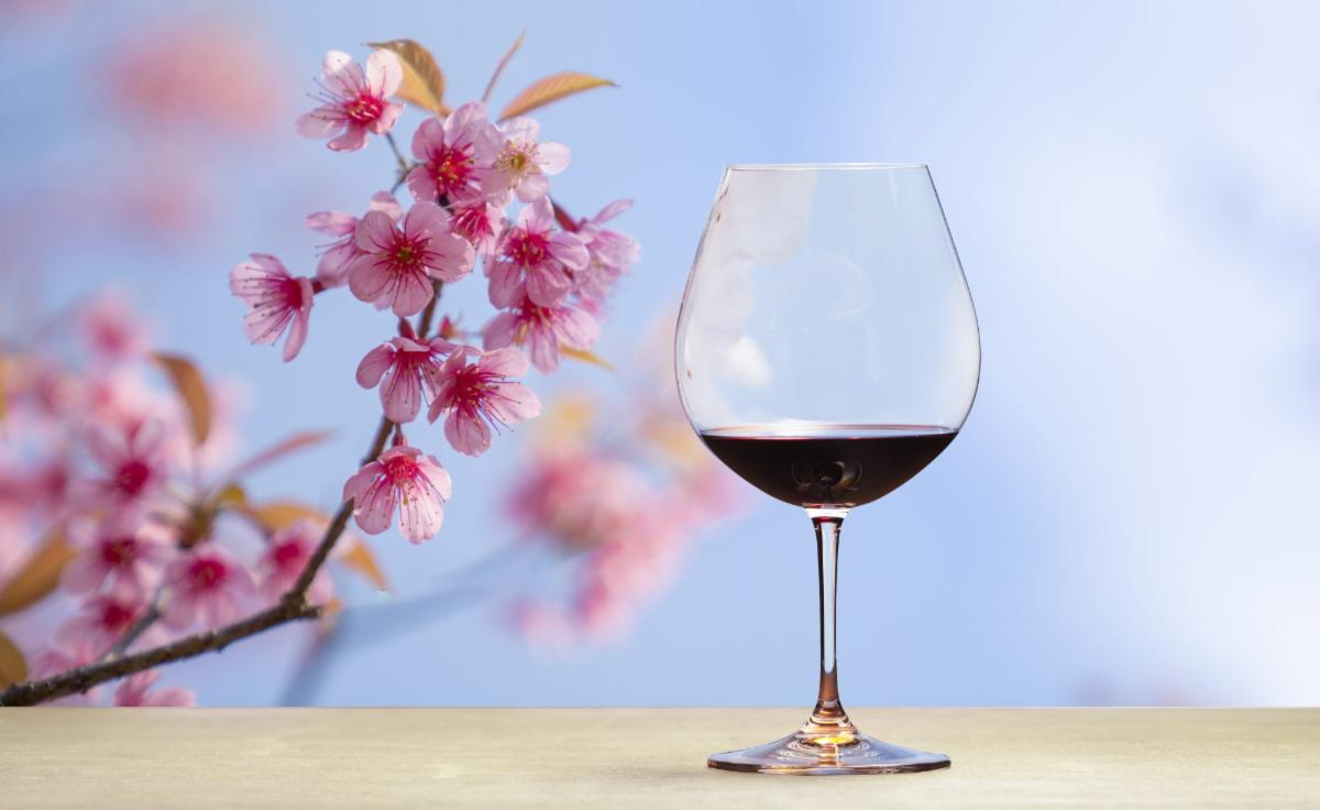 TheBottleShopWB's tweet photo. Spring Wine Tasting this Friday at 4:30pm! #WineTasting #orthodoxEaster  #Wine #FineWine #ChilledWine #CraftBeer #ColdBeer #BeerTasting  #Rockville #Potomac #Potomacmd #ParkPotomac #BethesdaMD #NorthBethesda https://t.co/zO5PMi9TJr
https://t.co/0D7Mffbd7M https://t.co/vhmAEjiHJY