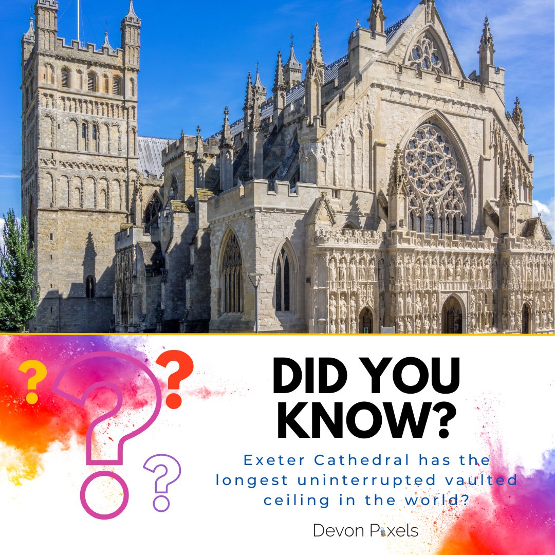 Devon Pixels tweet media