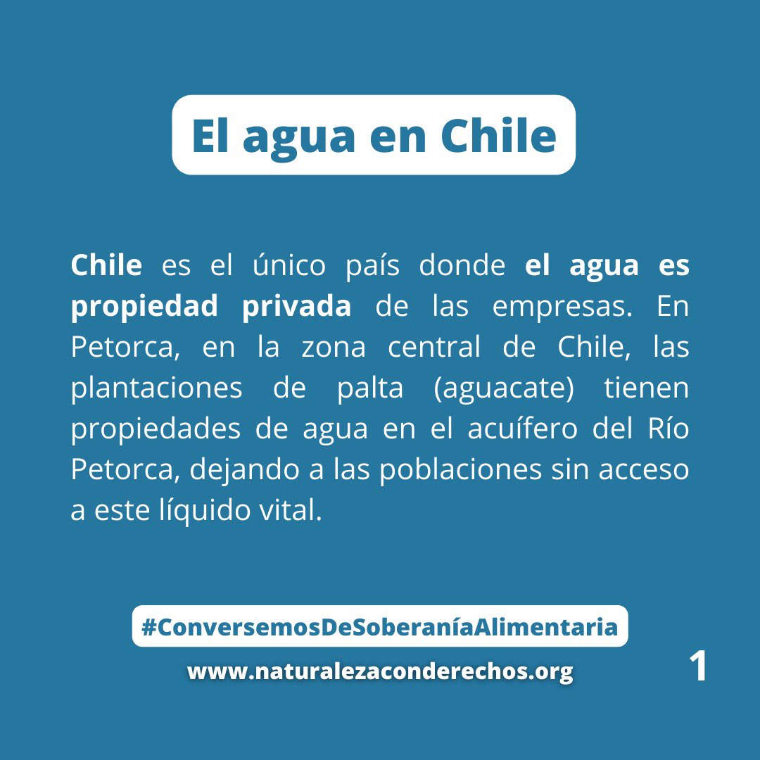 ConNaturaleza tweet picture