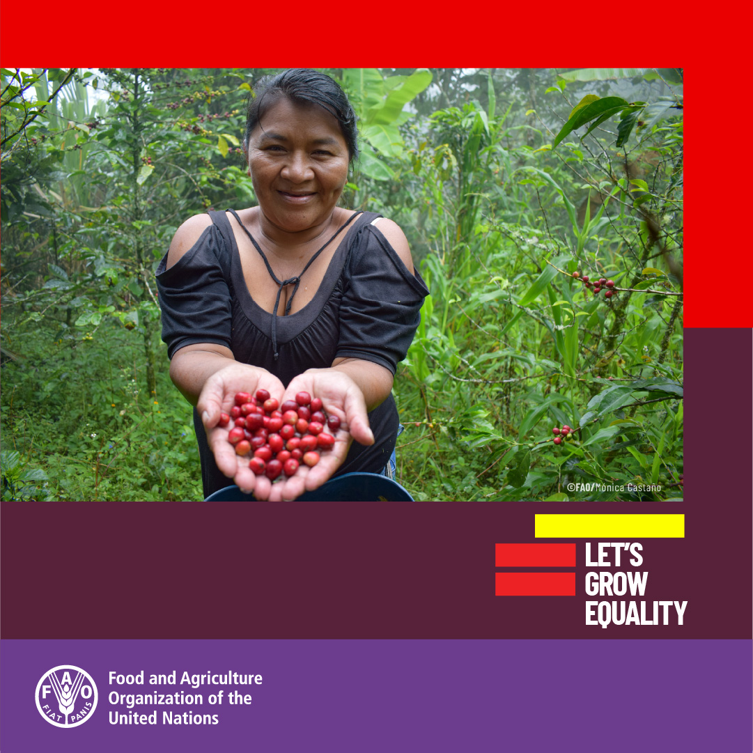 FAO's tweet photo. To discover more about the status of women in agrifood systems and what needs to be done to grow equality, have a look at @FAO's new report 👉https://t.co/OoPzxylYBt

#LetsGrowEquality https://t.co/8Cx9n3KCtl