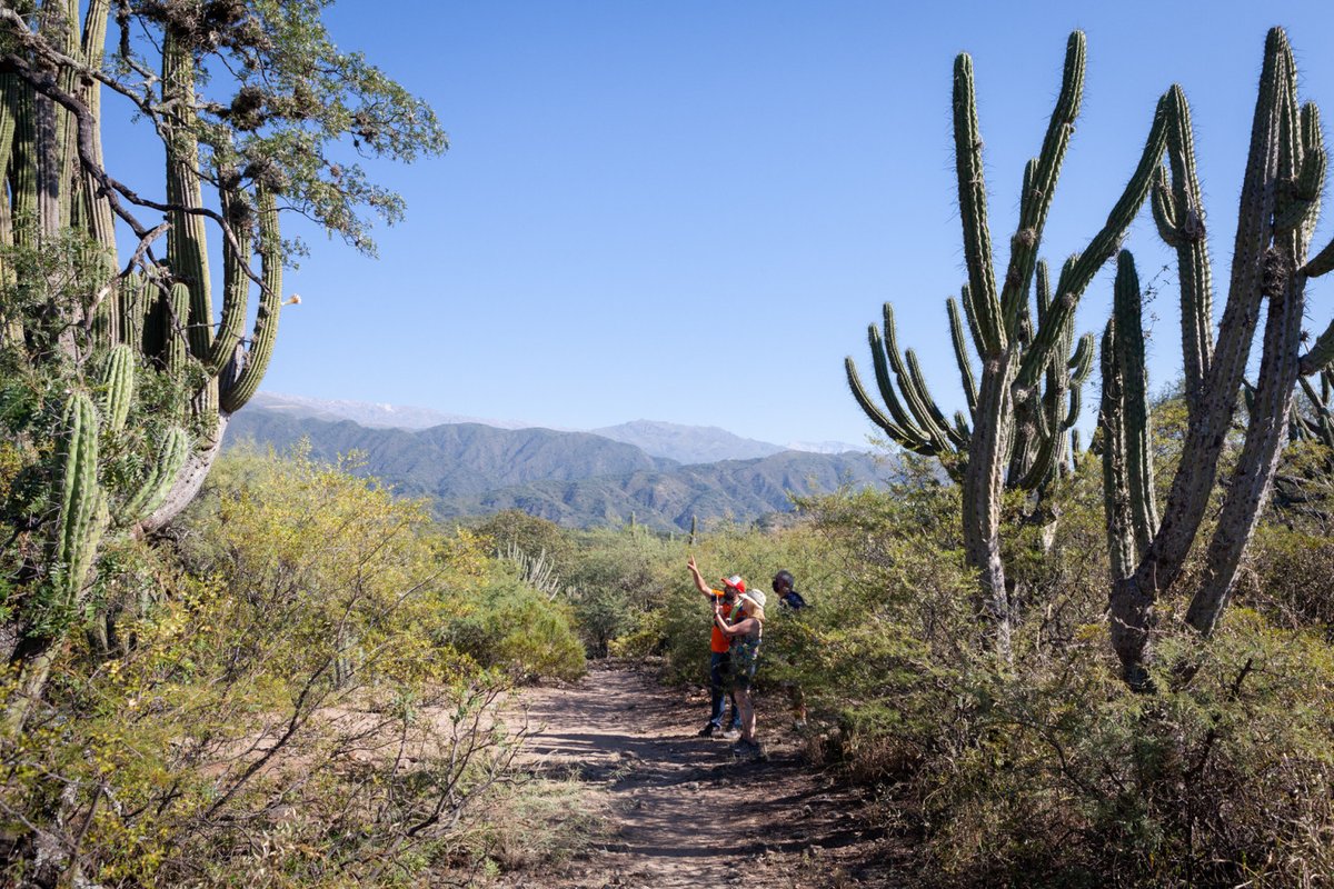 VisitCatamarca's tweet photo. Conoce la Capital catamarqueña de una forma distinta 💯🙌
Con los Ecotour, realiza un senderismo de baja complejidad y disfruta de la historia del lugar 🧭
⛰️
#DescubriCatamarca #HermosaPorNaturaleza #SFVC https://t.co/akAoRVSQSN