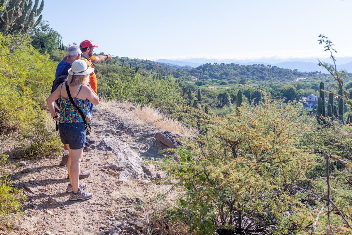 VisitCatamarca's tweet photo. Conoce la Capital catamarqueña de una forma distinta 💯🙌
Con los Ecotour, realiza un senderismo de baja complejidad y disfruta de la historia del lugar 🧭
⛰️
#DescubriCatamarca #HermosaPorNaturaleza #SFVC https://t.co/akAoRVSQSN
