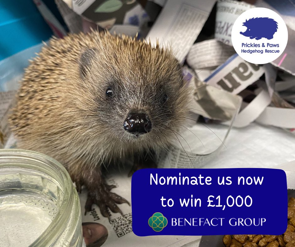 YOU can help us win £1,000 from the Benefact Group Movement for Good 2023 Awards! 

Nominating us is quick, easy and FREE!  benefactgroup.com/movement-for-g…
🦔 Add our name or charity no. 1174597
🦔 Complete the form and submit 
🦔 Share and tweet to let us know ✅