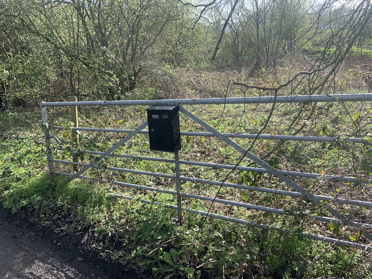 alex4peneast's tweet photo. Right political Twitter. The thread you’ve all been waiting for… my breakdown of best to worst letterboxes!
Spoiler alert - ankle level, double shuttered, spring enhanced boxes aren’t the worst….
1/10 - The ‘Mounted Box’ - the undisputed winner. Easy and simple, a delight! https://t.co/3sEsDbYoZF