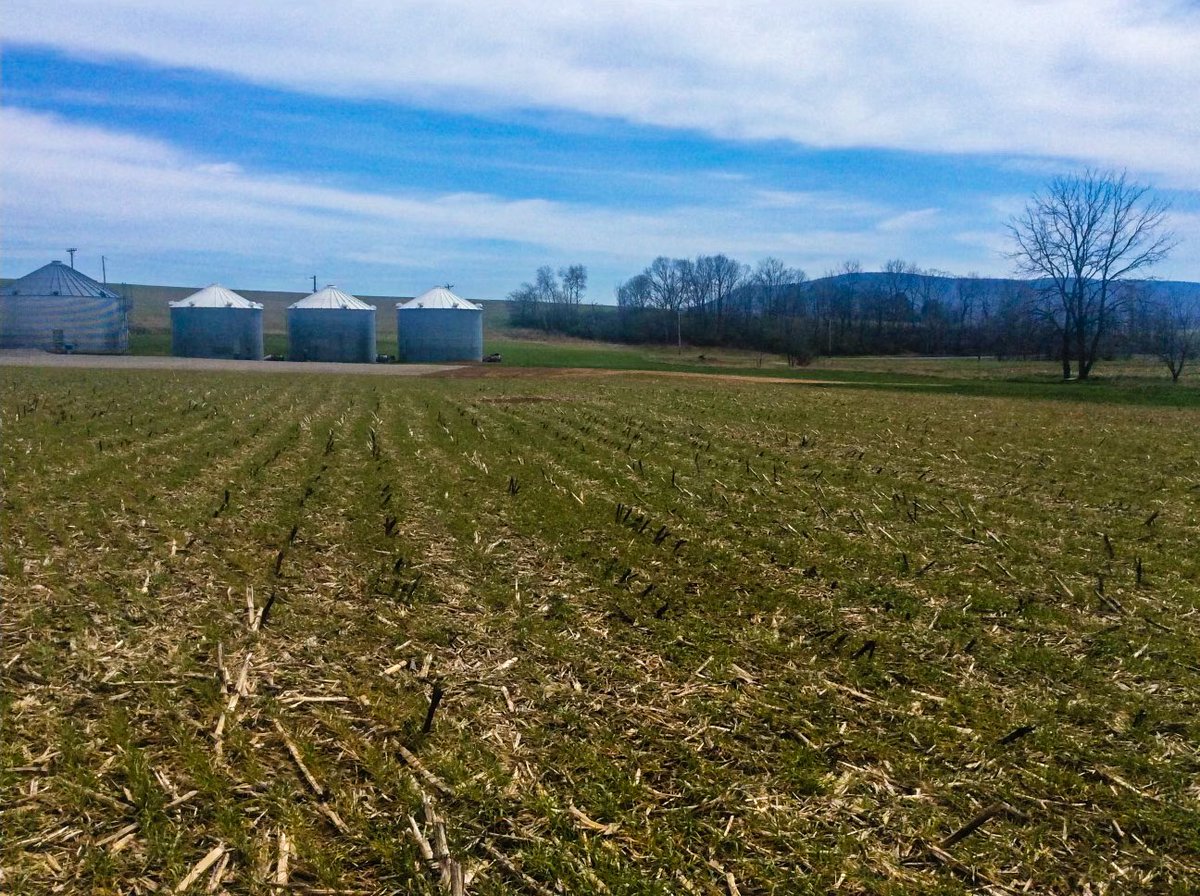 Saint Francis U Cross Country and Track & Field tweet media