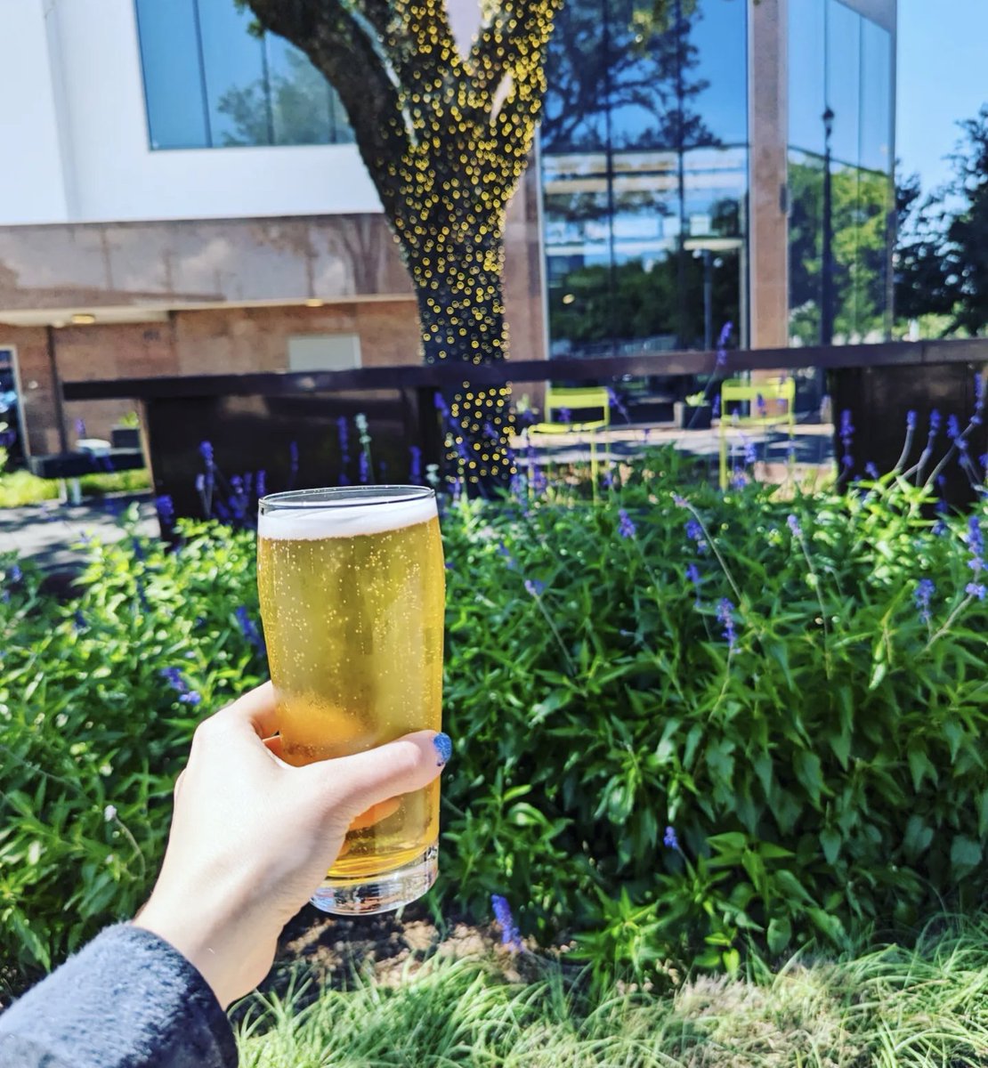 Second_Draught's tweet photo. The flowers are blooming and it's a beautiful spring day for a crisp, refreshing beer on our patio.
Come by, enjoy this fantastic weather, play some yard games, and sip on your drink of choice.
#drinklocalbeer #htxcraftbeer #htxbrews #iondistrict #theion #ionhouston https://t.co/pBOcxgbbK1